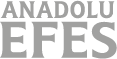 anadolu efes